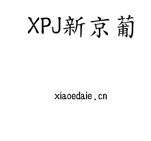 深圳市XPJ新京葡电子有限公司官网
